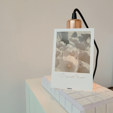 자체제작 튤립 꽃 감성 미니 포스터 다꾸 벽 방 원룸 집 꾸미기 엽서